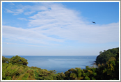 The broad panorama of Sagami-wan (Sagami bay)